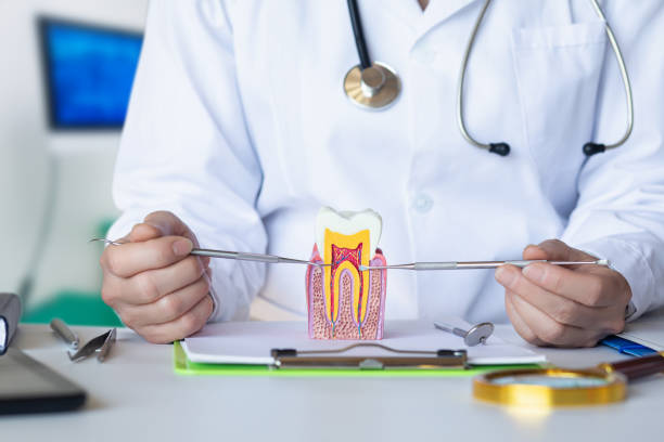 Best Emergency Denture Repair in Broadway, NC